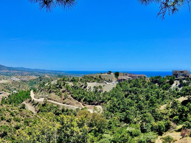  Tontti El Madroñal