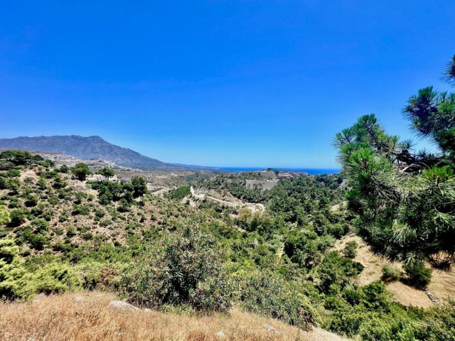  Tontti El Madroñal