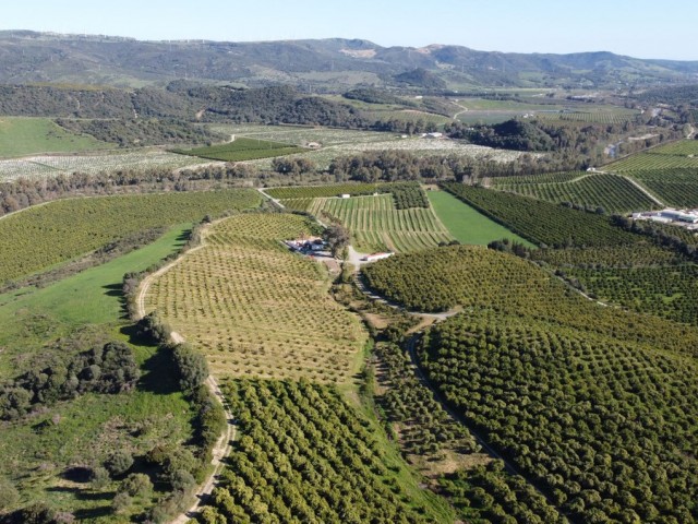 Plot Casares - R5041204