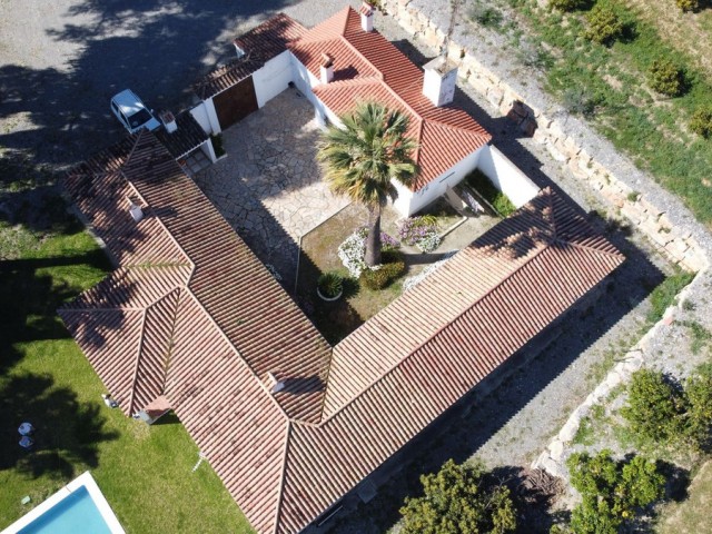  Plot in Casares