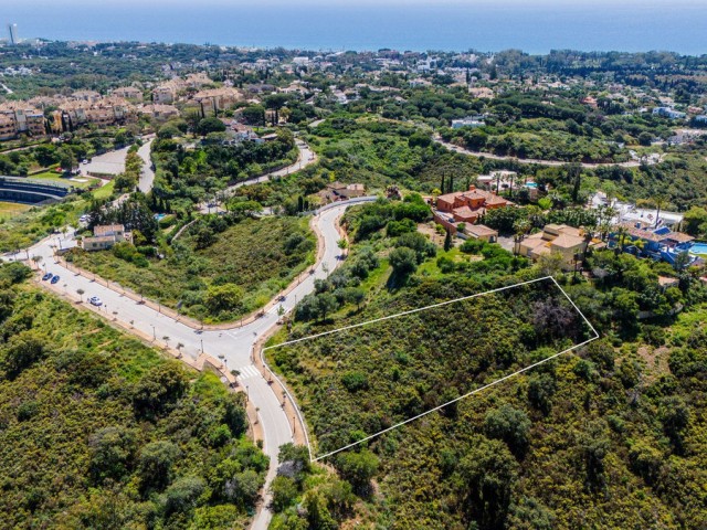 Plot in Elviria