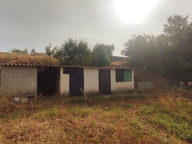2 Slaapkamer Villa in La Cala