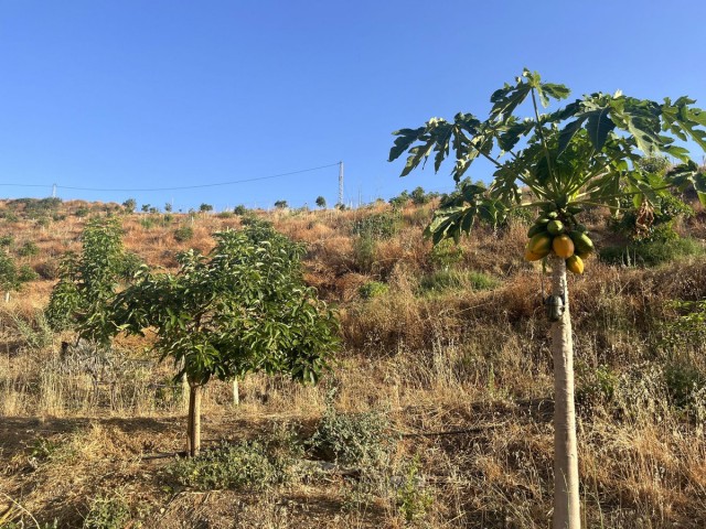 Grundstück, Alhaurín el Grande, R5104012