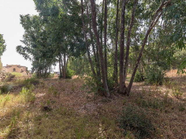  Plot in Manilva
