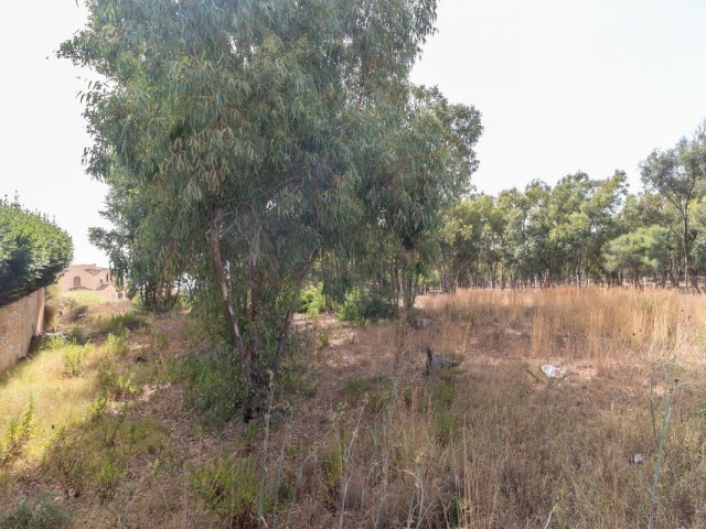  Plot in Manilva