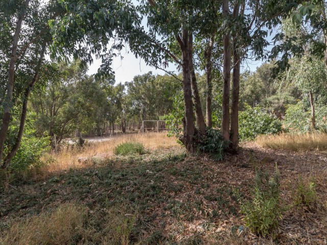  Plot in Manilva
