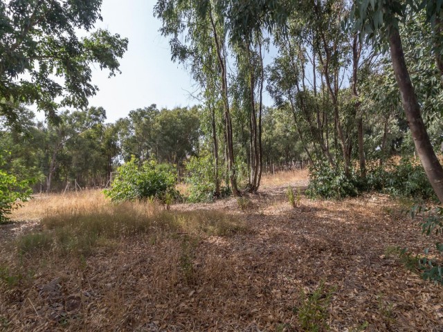  Plot in Manilva