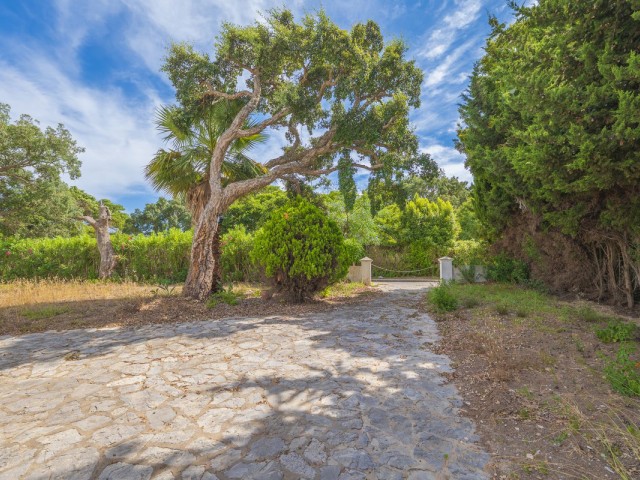 Villa avec 6 Chambres  à San Roque Club