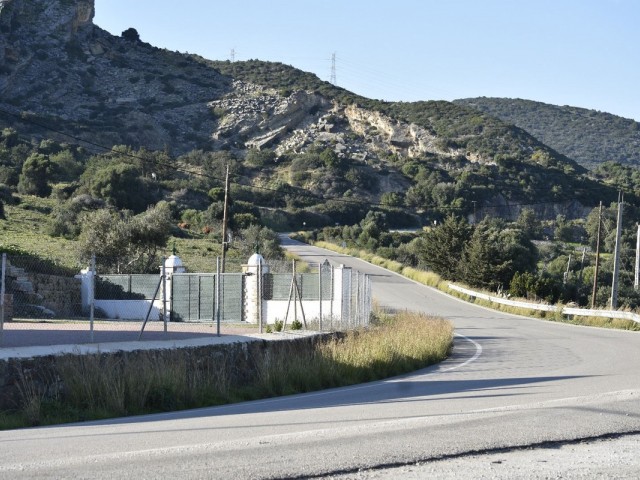  Plot in Casares