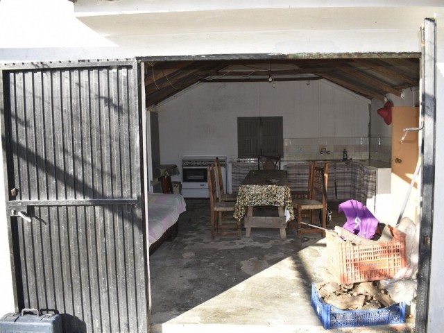  Plot in Casares