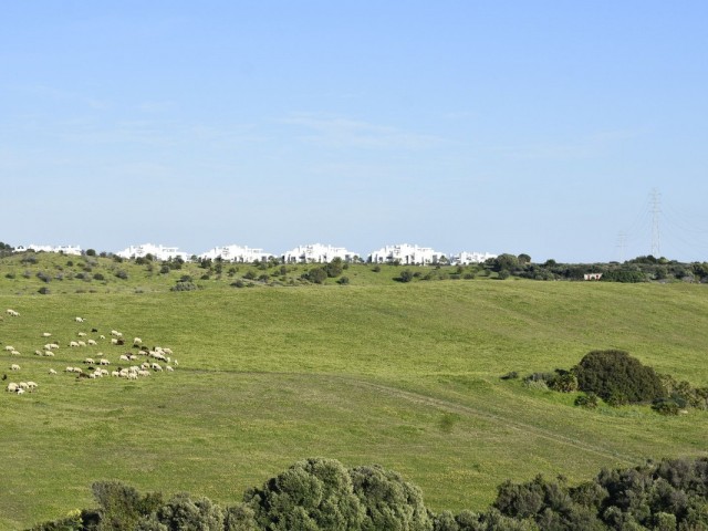  Plot in Casares