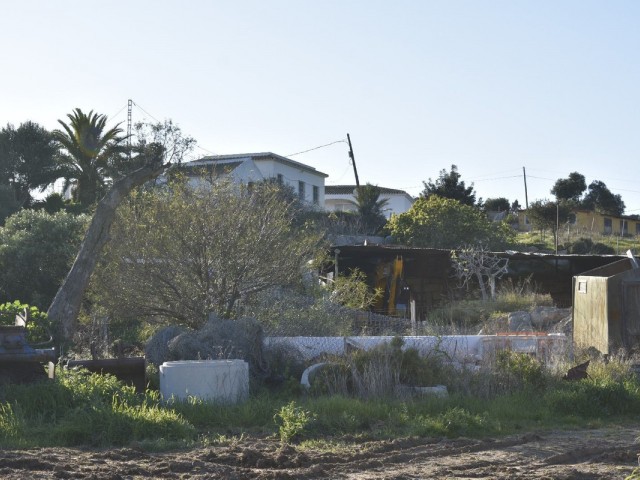  Plot in Casares
