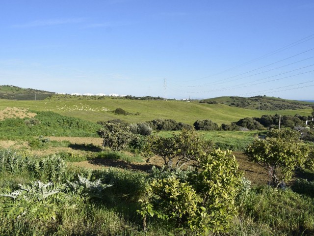  Plot in Casares