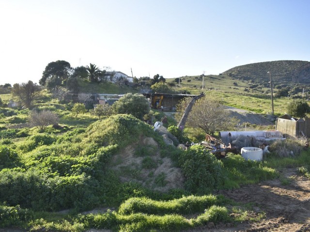  Plot in Casares