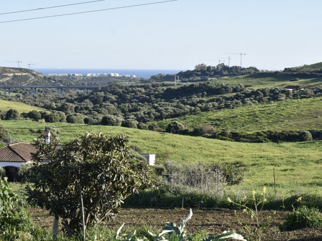 Plot in Casares