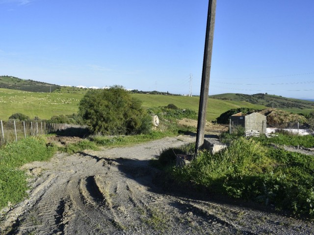  Plot in Casares