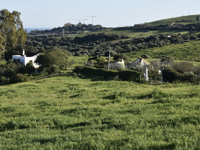  Plot in Casares