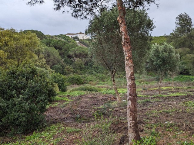 Plot, Sotogrande, R5130544
