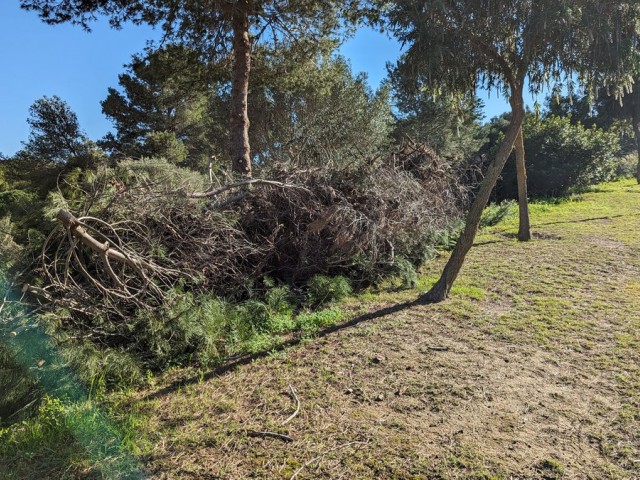  Plot in Sotogrande