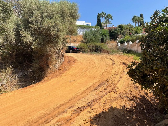  Plot in El Rosario