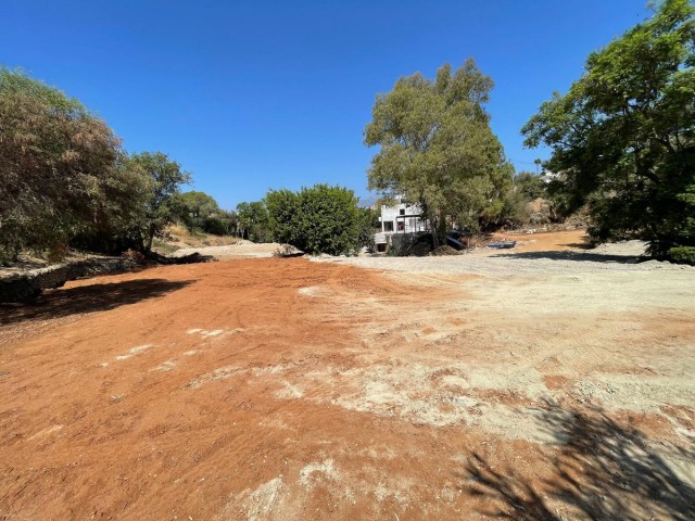  Plot in El Rosario
