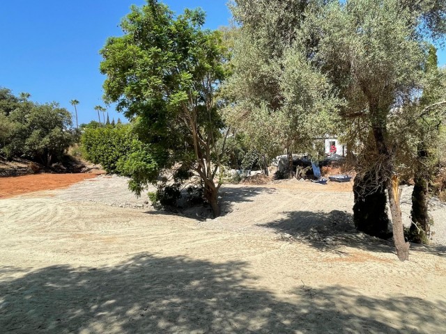  Plot in El Rosario
