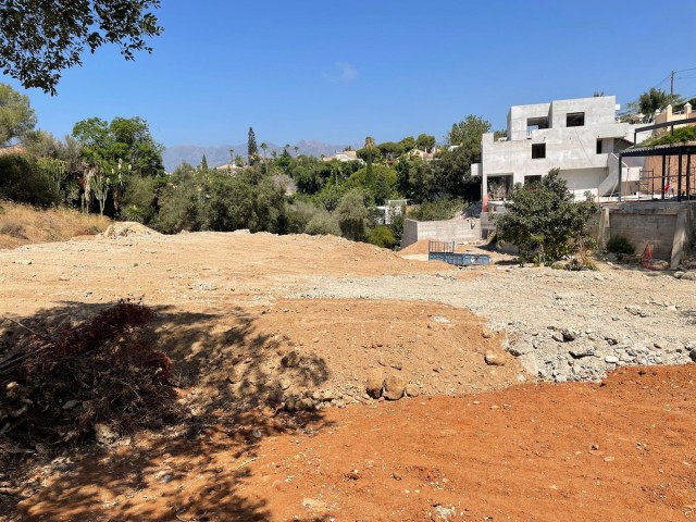  Plot in El Rosario