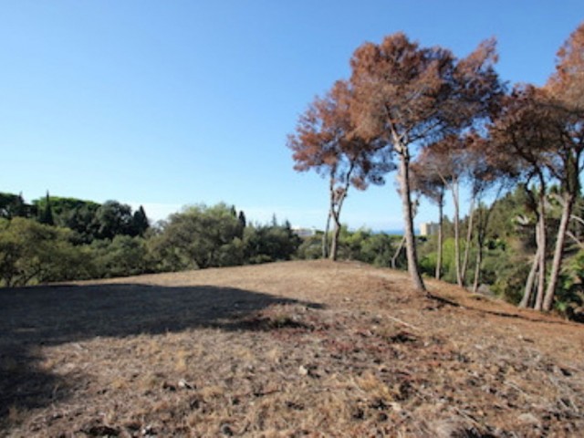 Tomt, Hacienda Las Chapas, R4069777