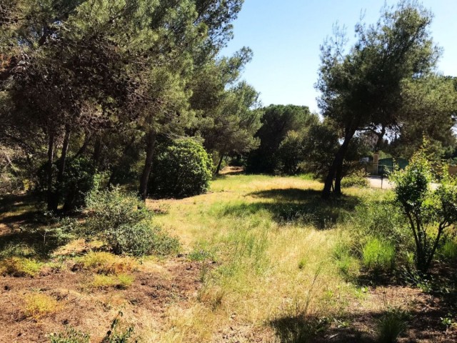 Grundstück, Hacienda Las Chapas, R4069777