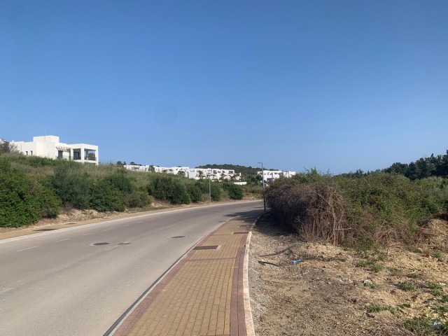  Plot in Casares