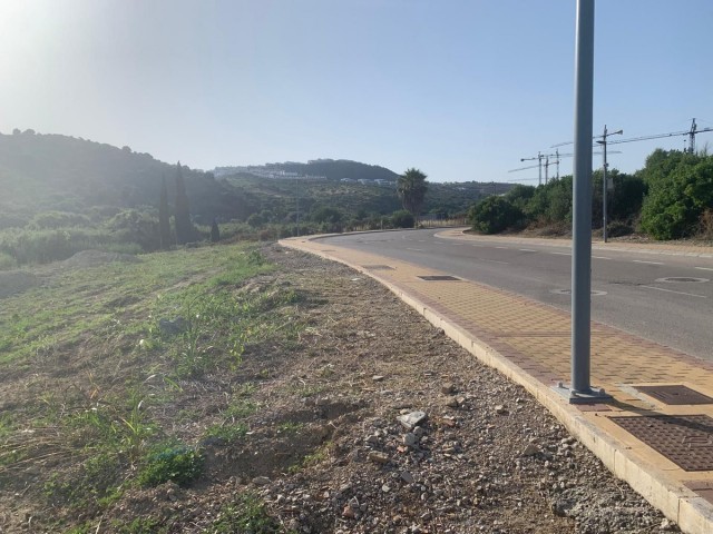  Plot in Casares