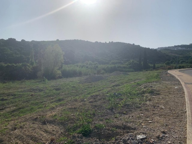  Plot in Casares