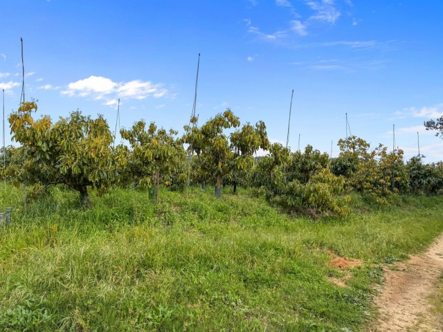 Villa, Sotogrande
