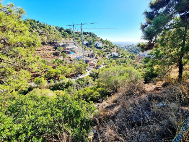 Grundstück, El Madroñal, R5195473