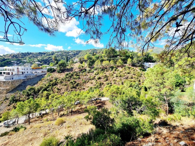 Grundstück, El Madroñal, R5195473