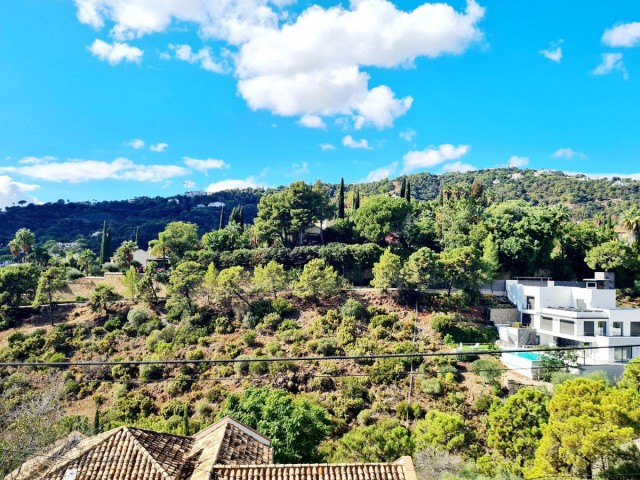 Grundstück, El Madroñal, R5195473