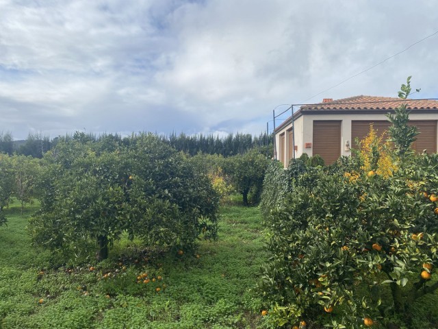  Parcelle à Sotogrande