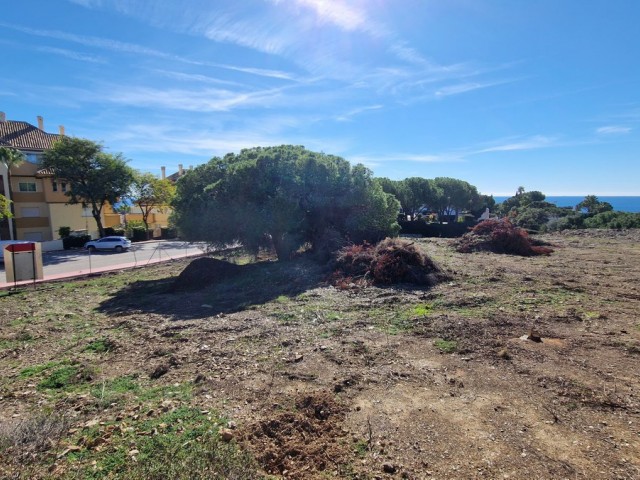  Plot in Elviria