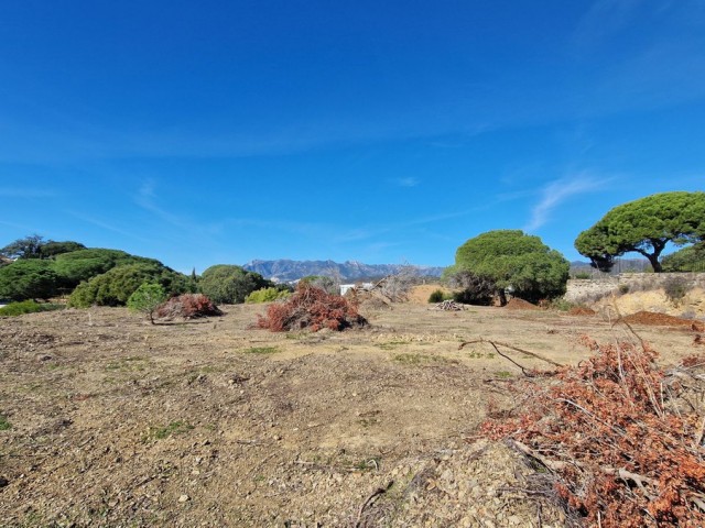  Plot in Elviria