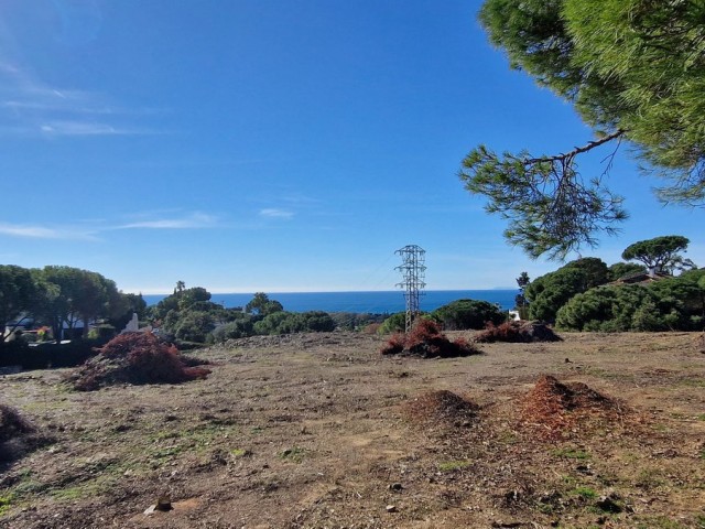  Plot in Elviria