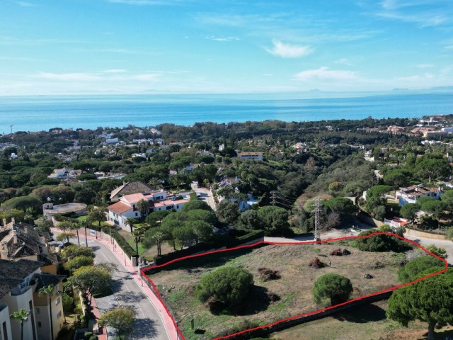  Plot in Elviria