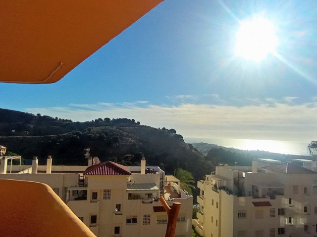 2 Bedrooms Apartment in Calahonda