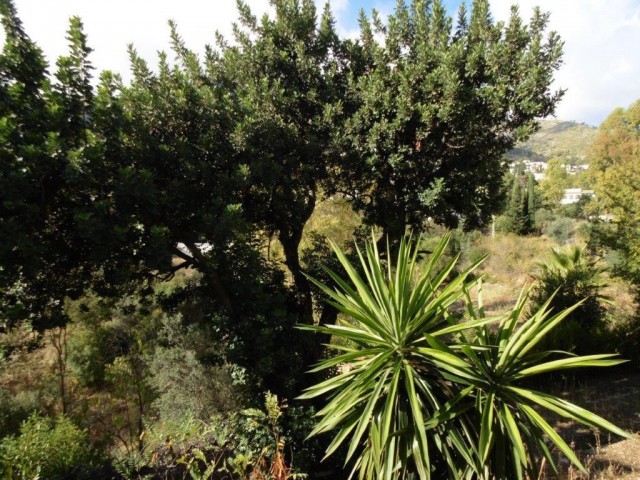 5 Bedrooms Townhouse in Mijas