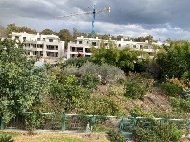  Plot in Casares