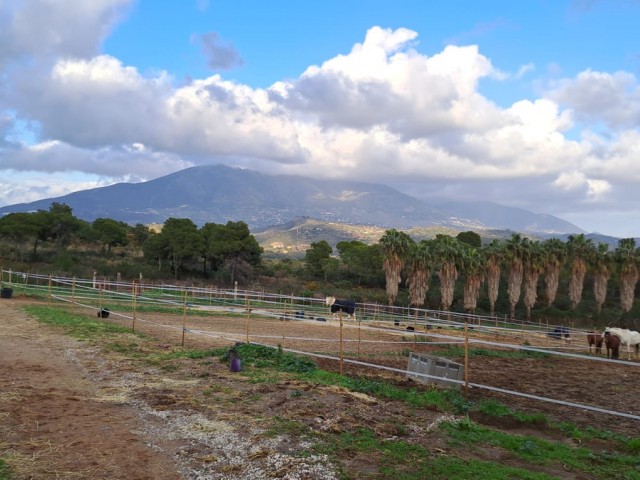 Næringseiendom Campo Mijas - R5271862