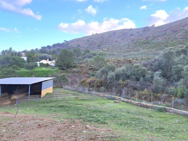Comercial con 8 Dormitorios  en Campo Mijas