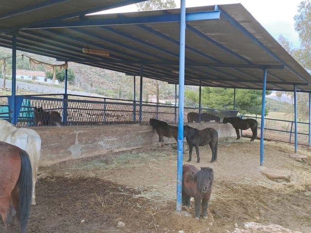 Comercial con 8 Dormitorios  en Campo Mijas