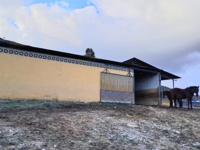 Comercial con 8 Dormitorios  en Campo Mijas