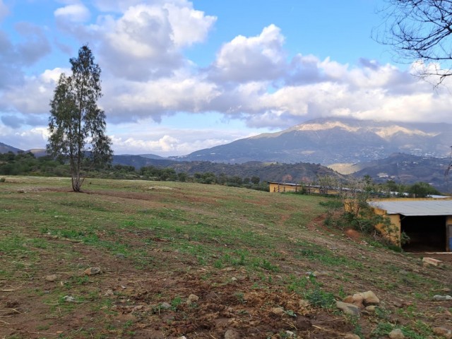 Comercial con 8 Dormitorios  en Campo Mijas