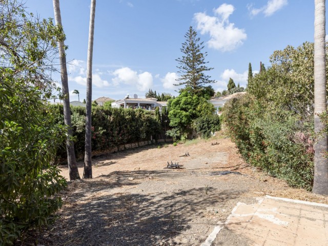  Plot in El Rosario
